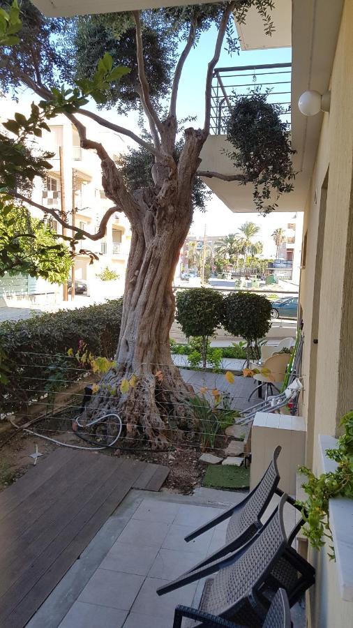 Kerynia Apartments Paphos Exterior photo